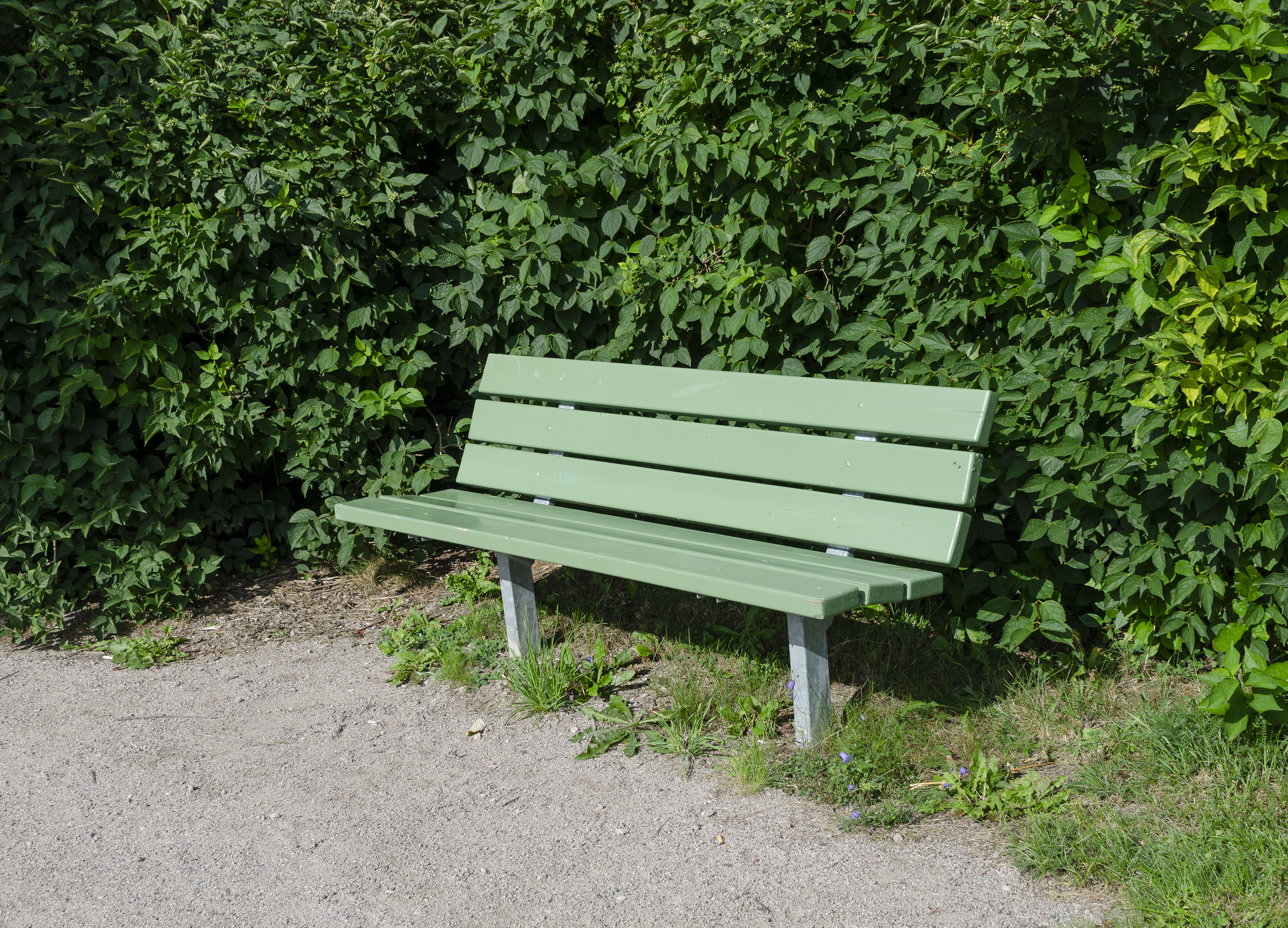 Park Bench Djurgarden
