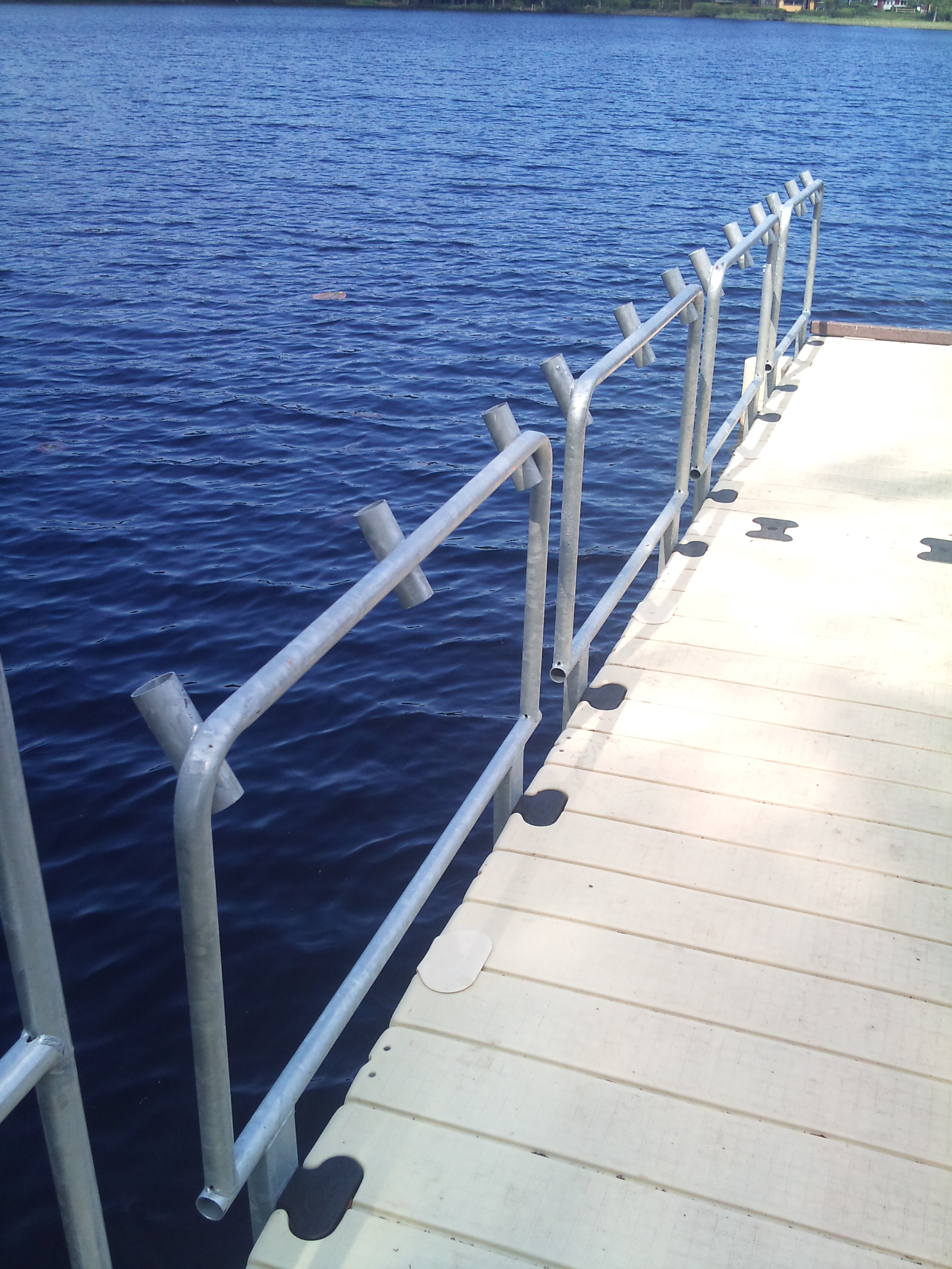 5' rail with pole holders