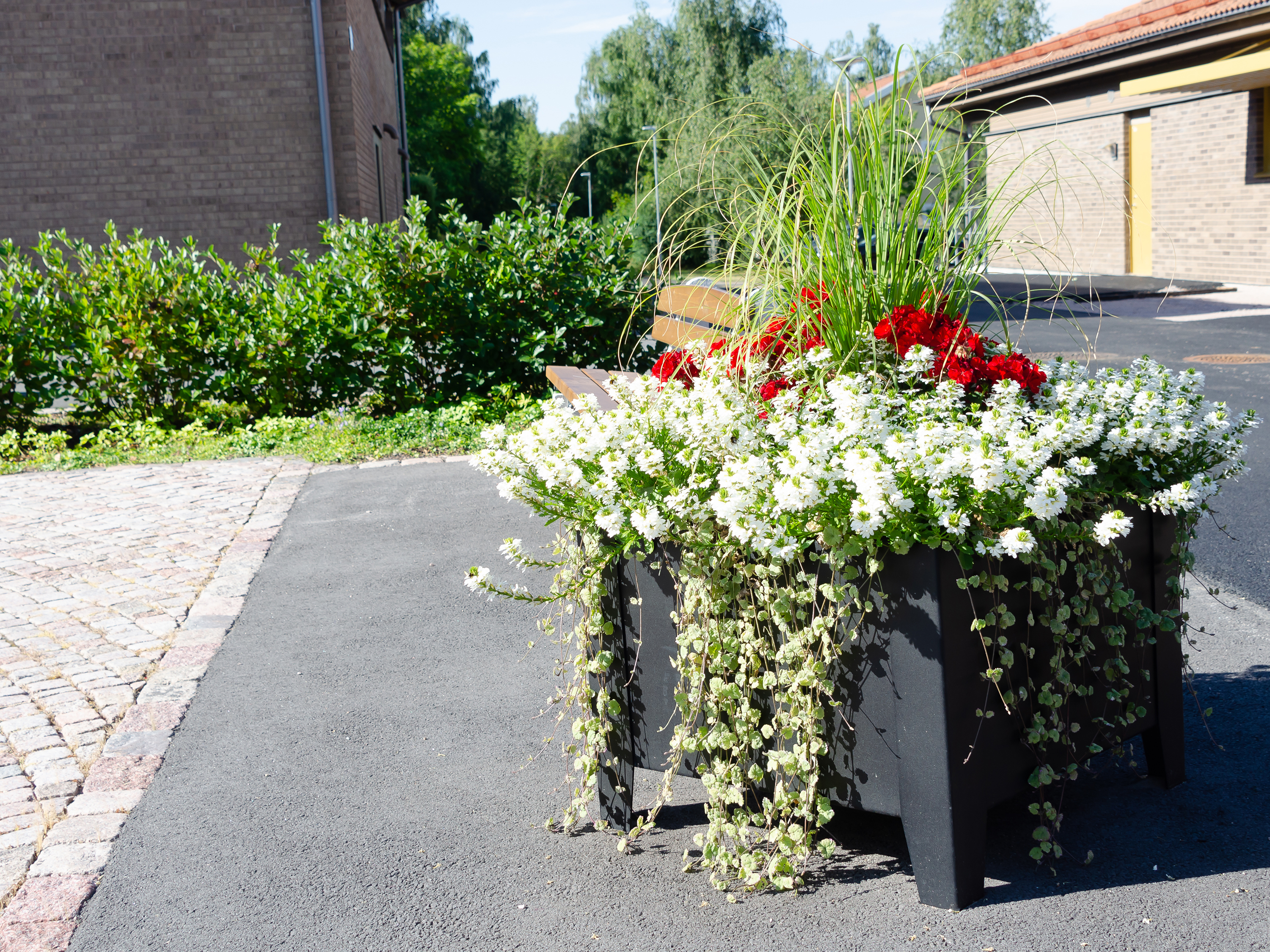 Kukkalaatikko Flox, alhainen