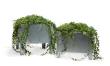 Planter Flox, Short