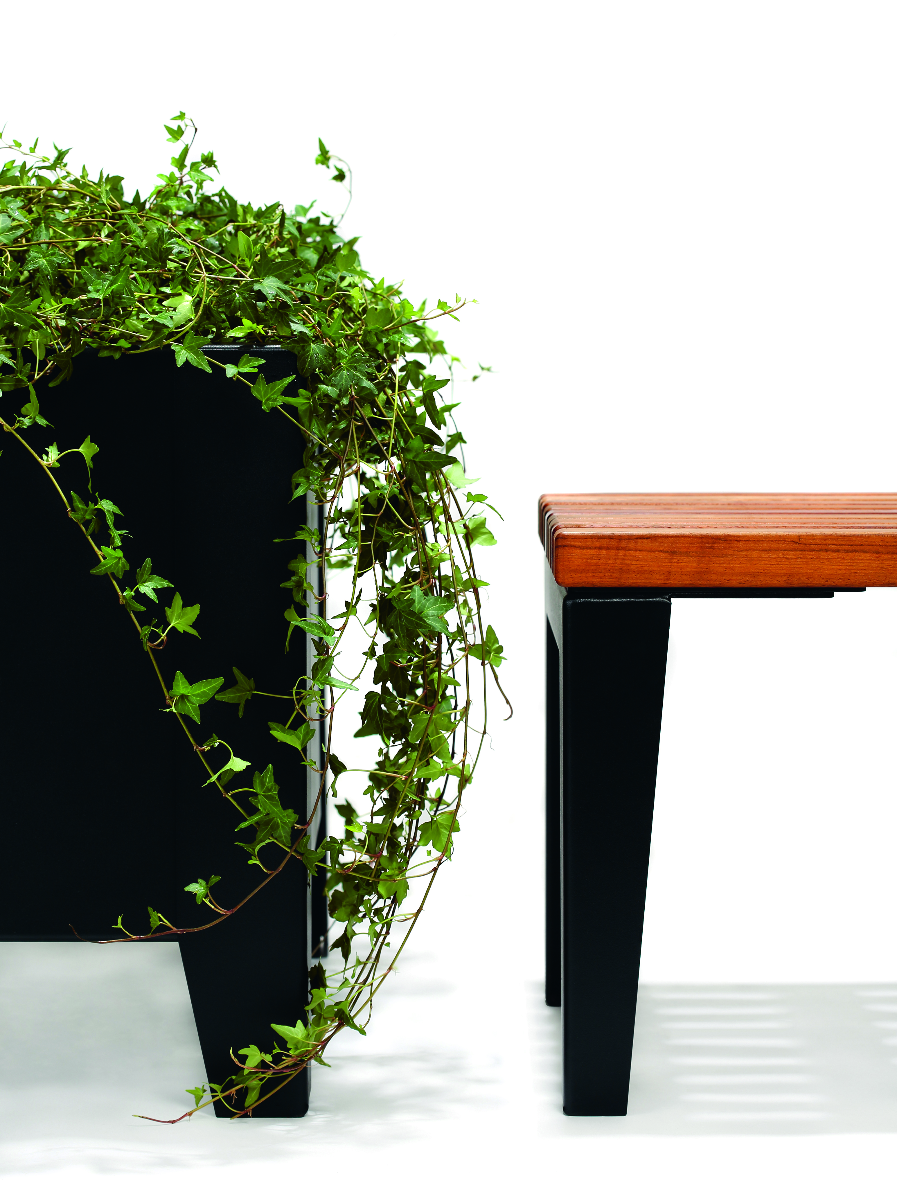 Bench Rox Hardwood