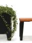 Bench Rox Hardwood