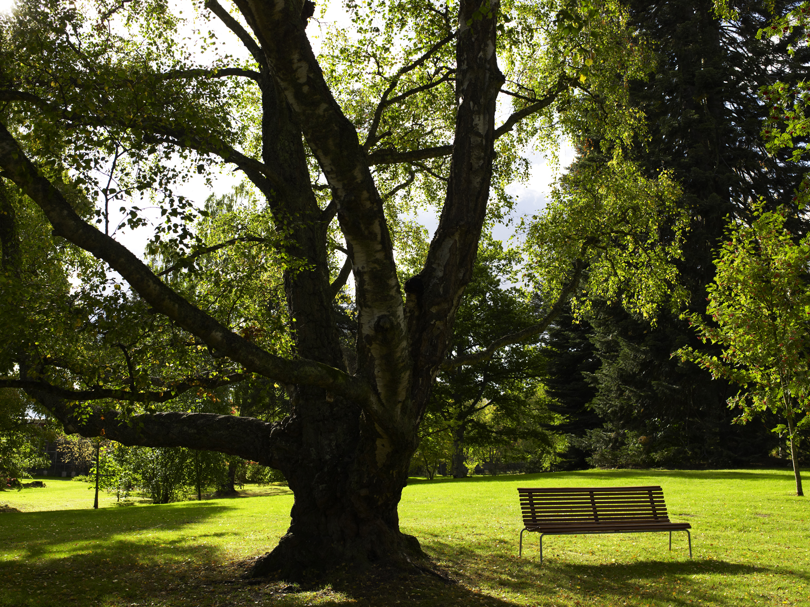 Park Bench Stockholm