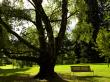 Park Bench Stockholm