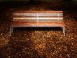 Park Bench Stockholm