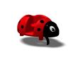 Rocking Toy Lucky LadyBug