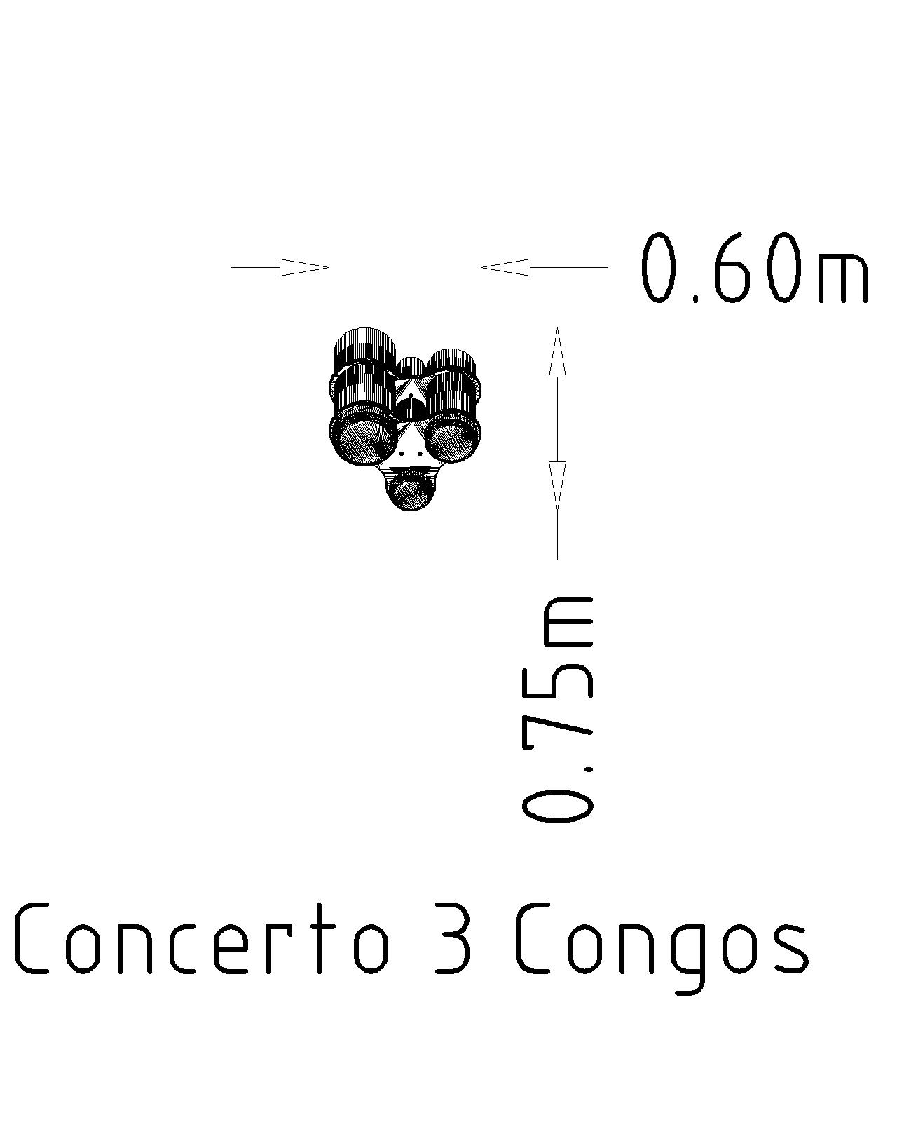 Concerto Drie Conga's