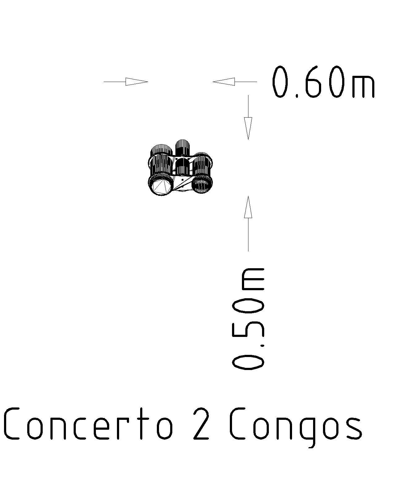 Concerto Two Congas